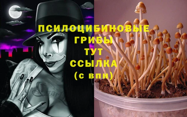 СК Аркадак