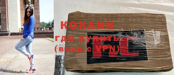 винт Пересвет